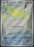 Reuniclus