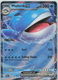 Wailord ex