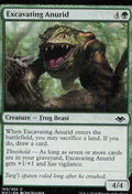 Excavating Anurid