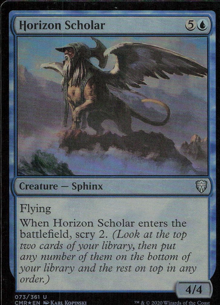 Horizon Scholar