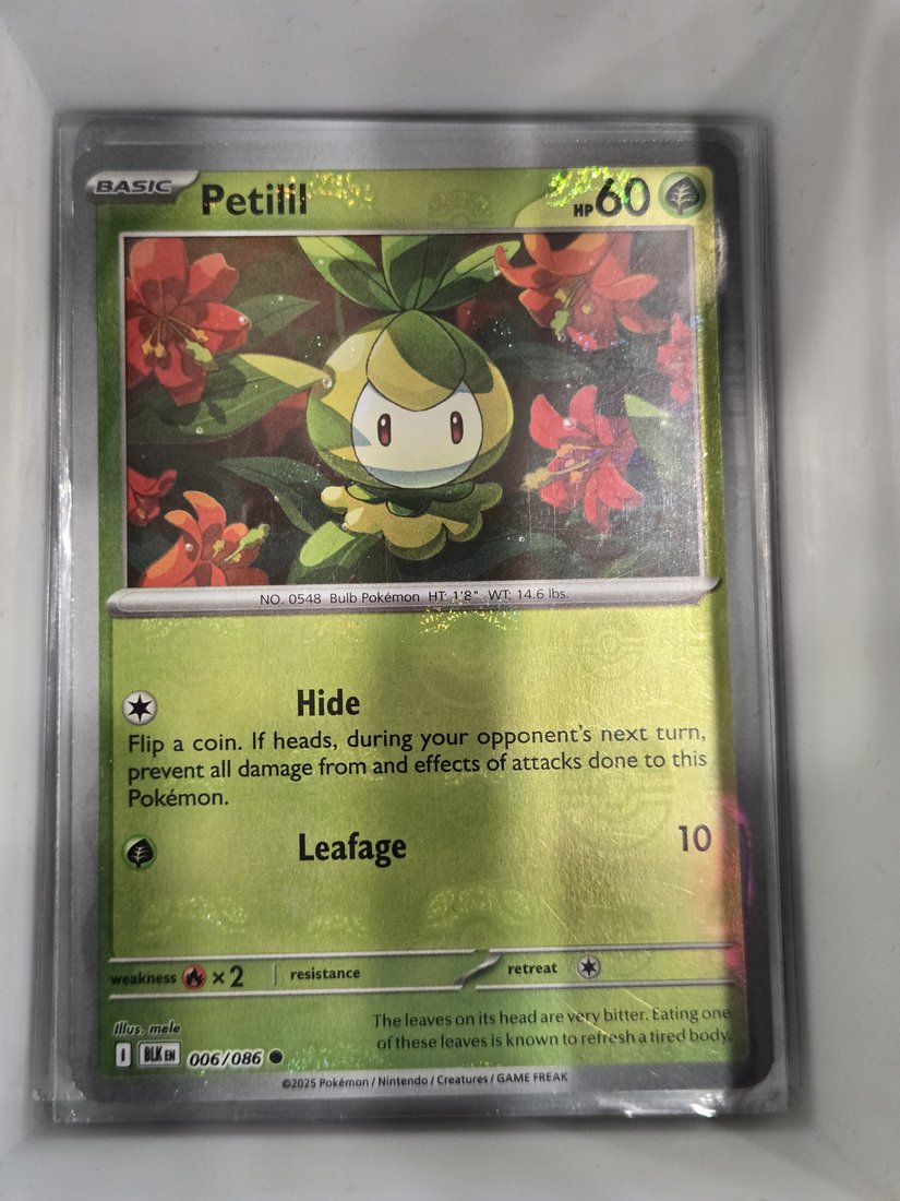 Petilil