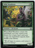 Wild Wanderer