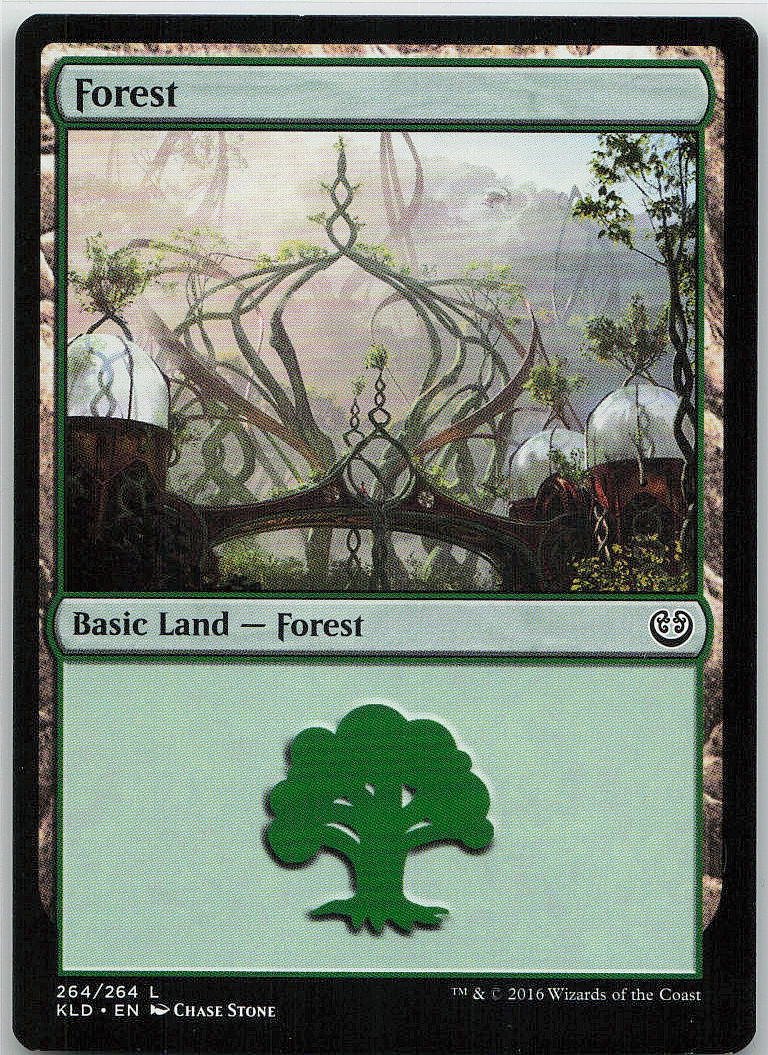 Forest