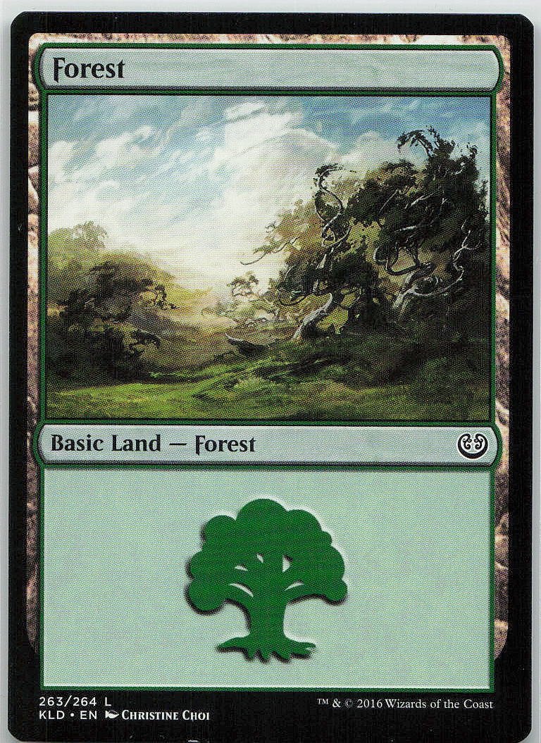 Forest