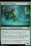 Evolution Witness