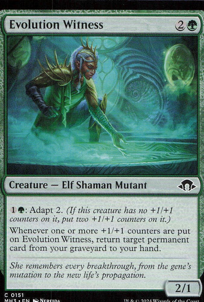Evolution Witness