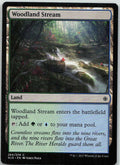 Woodland Stream