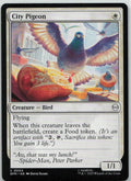 City Pigeon