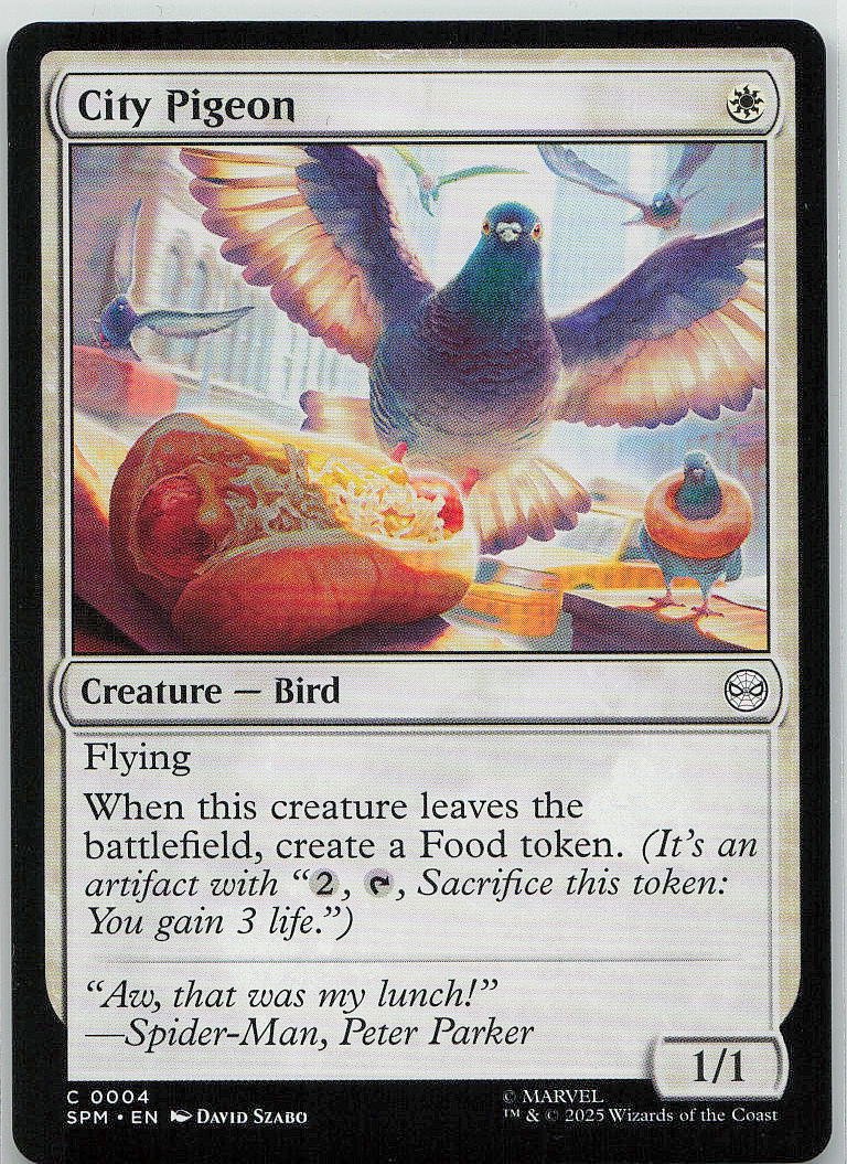 City Pigeon