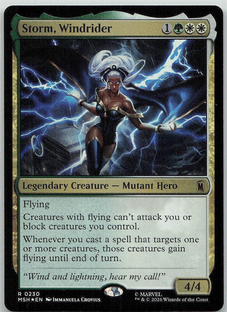 Storm, Windrider