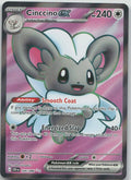 Cinccino ex