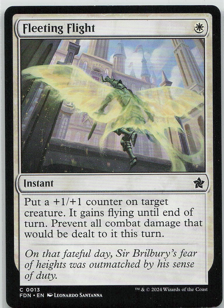 Fleeting Flight