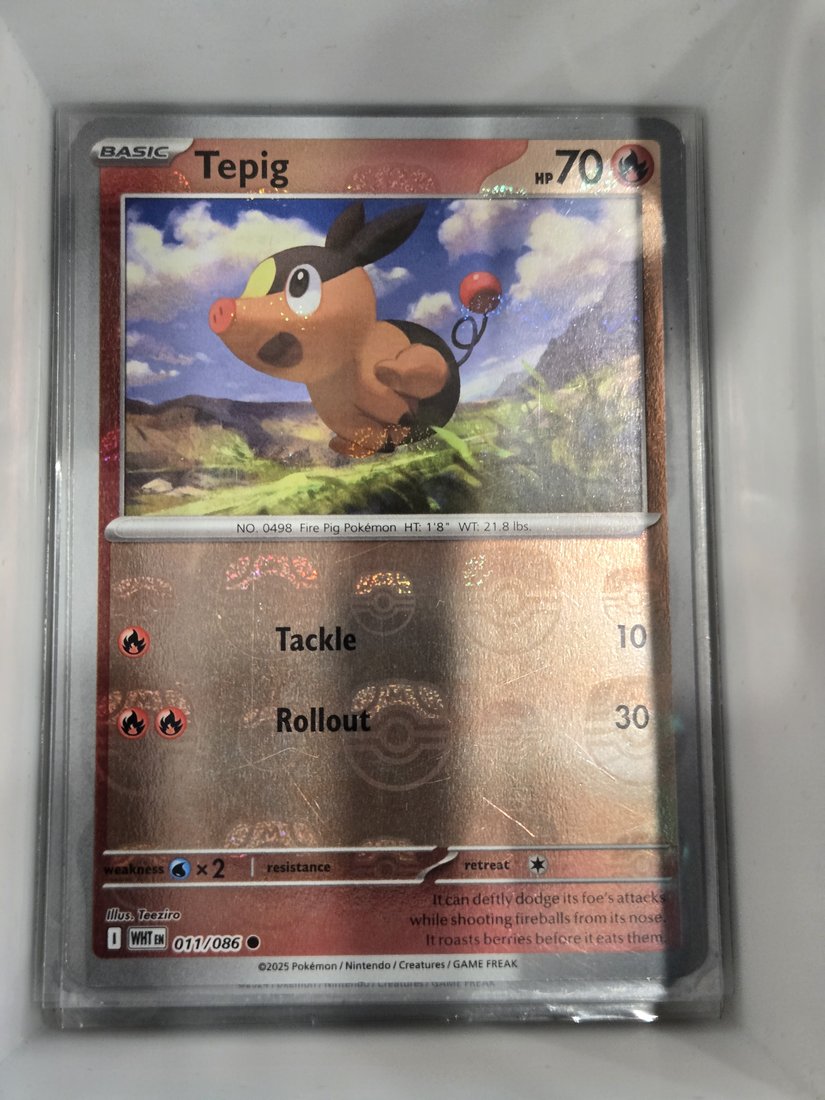 Tepig
