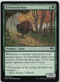 Territorial Boar