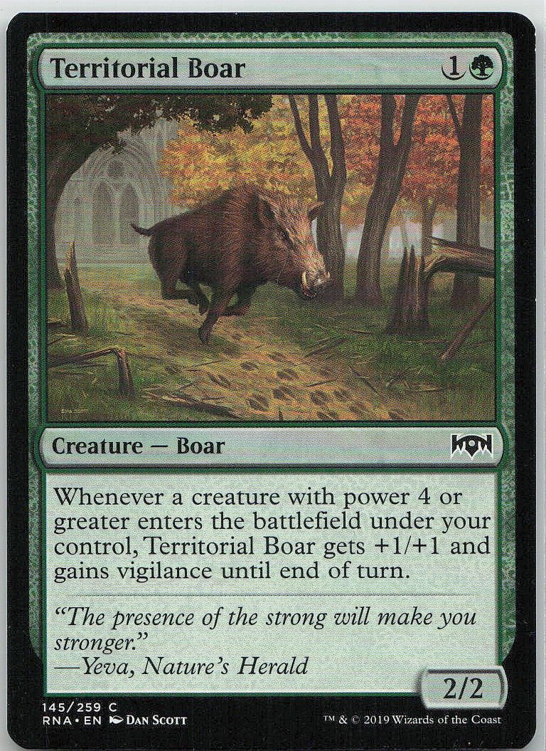 Territorial Boar
