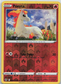 Ponyta