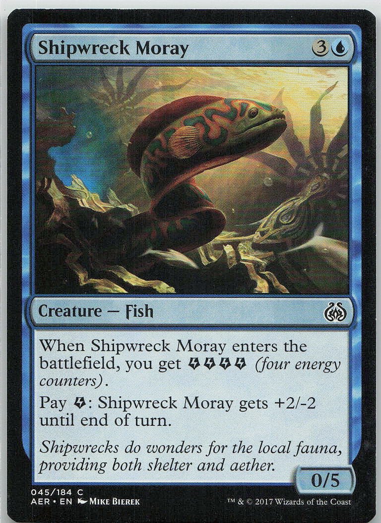 Shipwreck Moray