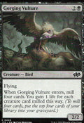 Gorging Vulture