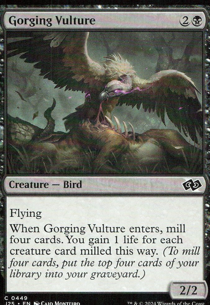 Gorging Vulture