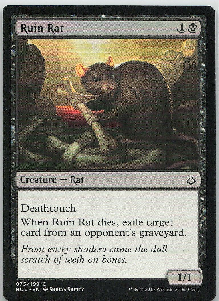 Ruin Rat