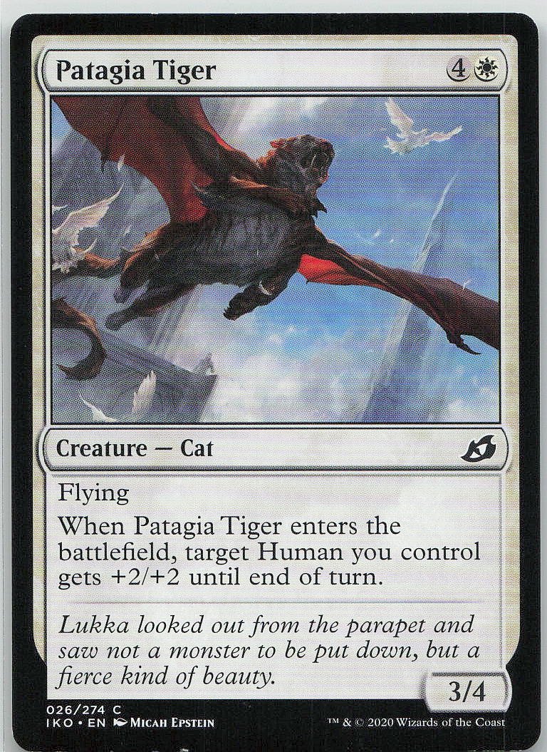 Patagia Tiger