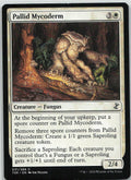 Pallid Mycoderm