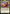 Image of Snapdax, Apex of the Hunt Year of the Tiger 2022 (PL22) #3