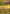 Image of Pikachu ex Terastal Festival ex (sv8a) #236