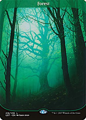 Forest